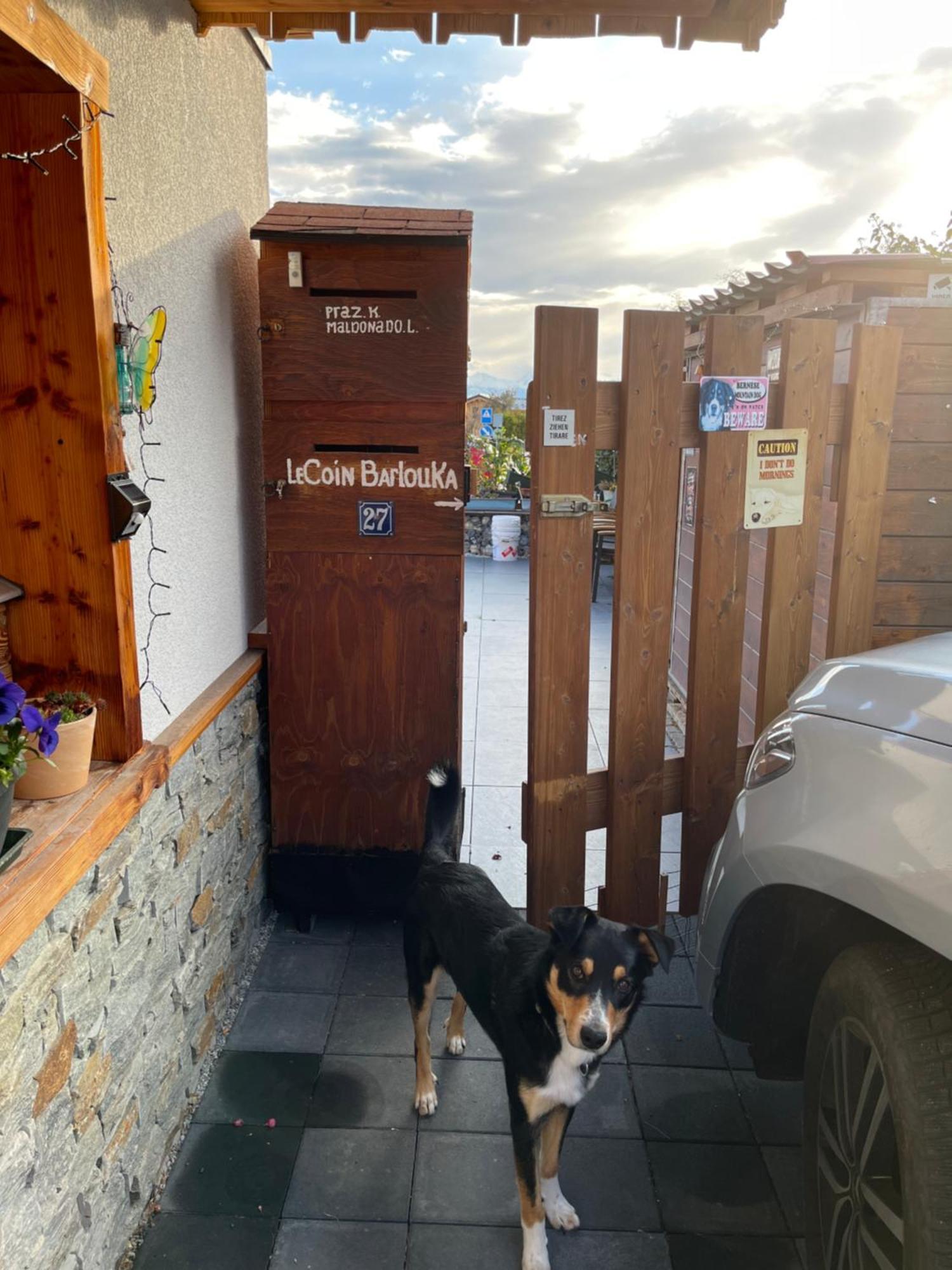 Le Coin Barlouka Apartamento Veysonnaz Exterior foto